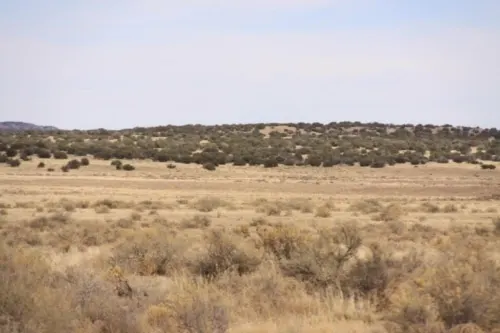High-desert retreat in Apache County, Arizona