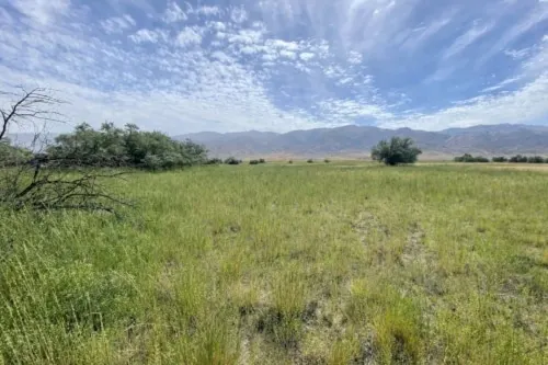 Quiet desert parcel in Humboldt County, Nevada